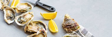 Gri arka planda dilimlenmiş limon ve buzla taze açılmış istiridyeler. Sağlıklı deniz ürünleri. Gurme yemeği. Düz konum, üst görünüm, model, genel görünüş, kopyalama alanı ile şablon. Çevrimiçi sipariş ve yemek