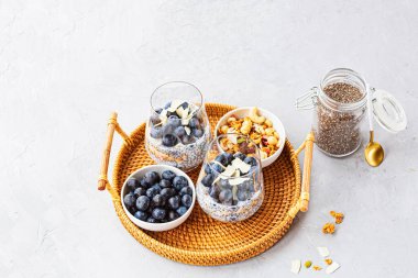 Granola ve gri beton arka planda taze yaban mersinli Chia pudingi. Sağlıklı beslenme, sağlıklı yaşam tarzı, diyet, fitness menüsü. Seçici odaklanma. Yüksek kalite fotoğraf