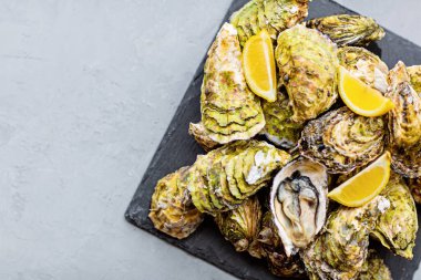 Dilimlenmiş limon ve buzla kaplanmış taze istiridye. Sağlıklı deniz ürünleri. Gurme yemeği. Düz konum, üst görünüm, model, genel görünüş, kopyalama alanı ile şablon. İnternetten sipariş ve yemek teslimatı. Yüksek kalite fotoğraf