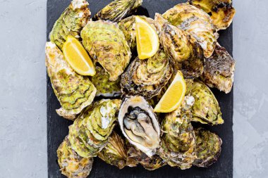 Dilimlenmiş limon ve buzla kaplanmış taze istiridye. Sağlıklı deniz ürünleri. Gurme yemeği. Düz konum, üst görünüm, model, genel görünüş, kopyalama alanı ile şablon. İnternetten sipariş ve yemek teslimatı. Yüksek kalite fotoğraf