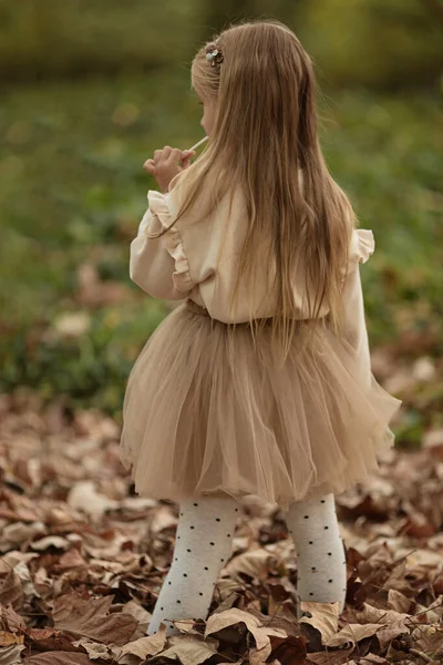 Χαριτωμένο Κομψό Κοριτσάκι Πόδια Στο Πάρκο Φθινόπωρο Φθινοπωρινή Παιδική Μόδα — Φωτογραφία Αρχείου