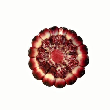 Koçan ve çekirdek renklerini gösteren mor mısır kulağının kesiti.