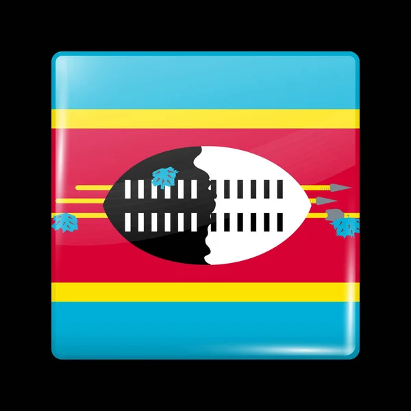 Bandera de Eswatini. Icono brillante forma cuadrada. Vector — Vector de stock