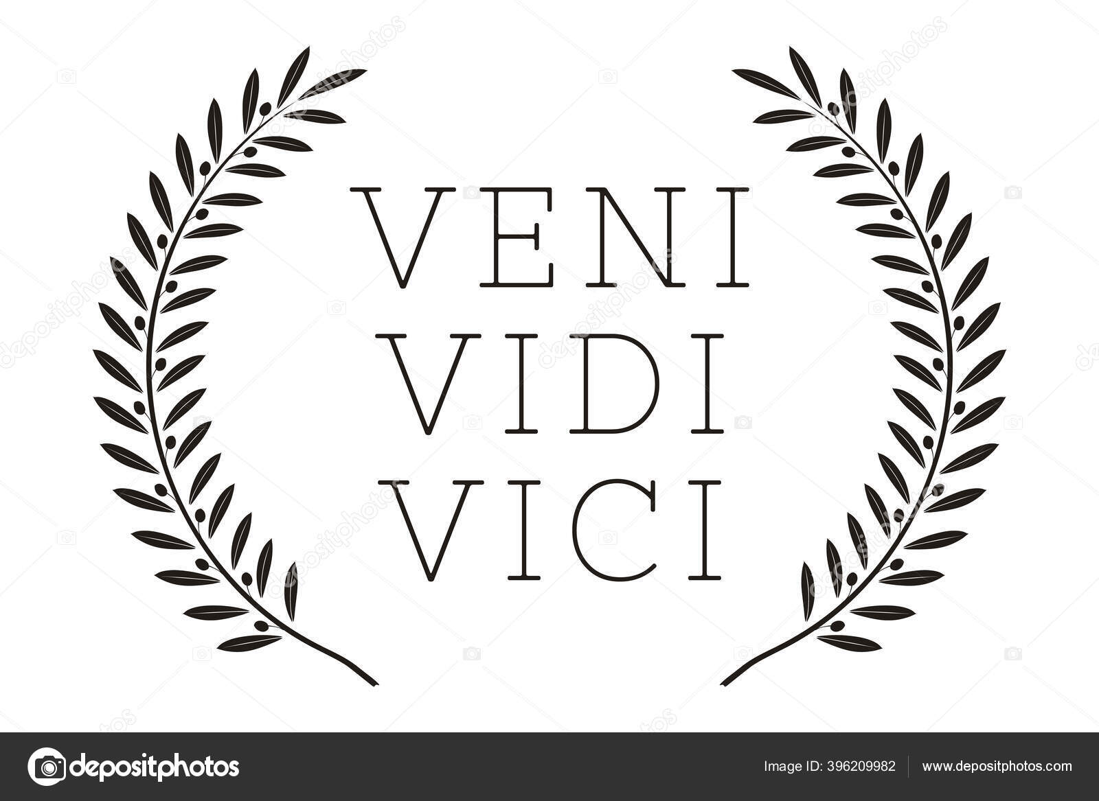 Veni Vidi Vici Poster Citação Latim Tradução Vim Conquistei