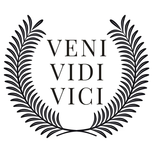 Veni Vidi Vici Cartel Cotización Latina Traducción Vine Conquisté Cita — Vector de stock