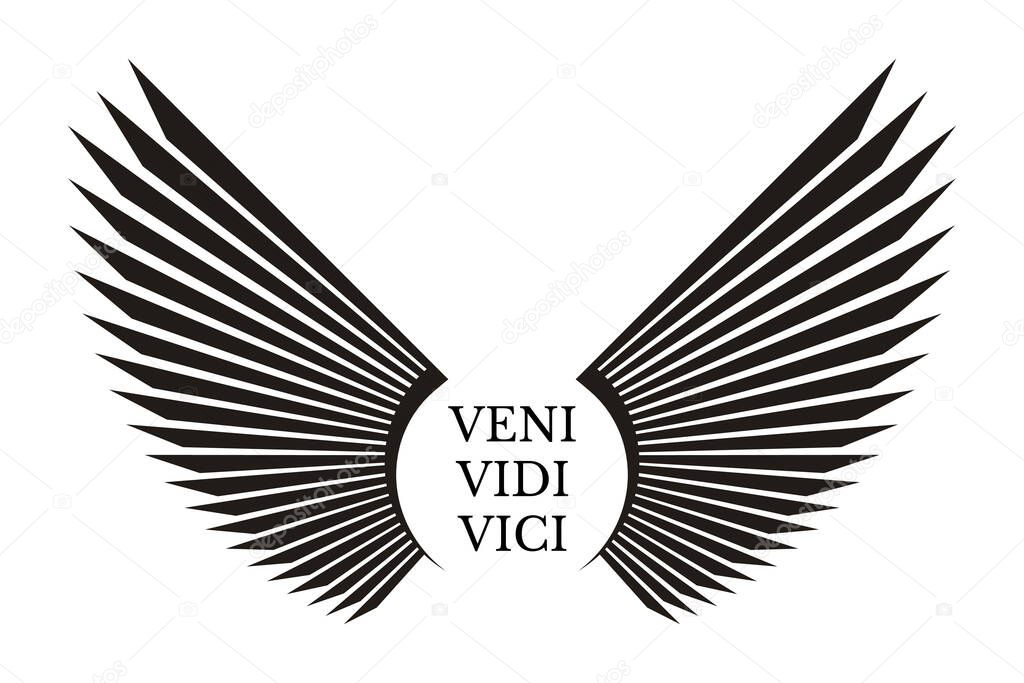 Veni Vidi Vici. Latin Quote Poster. Translation: I came, I saw, I conquered. Inspirational Quote