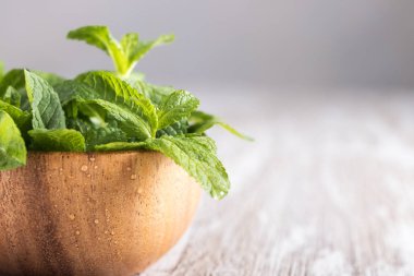 Bir kase üzerinde nane