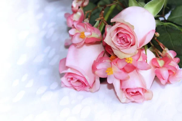 Rosas Rosadas Flores Begonia Mantel Satén Blanco — Foto de Stock