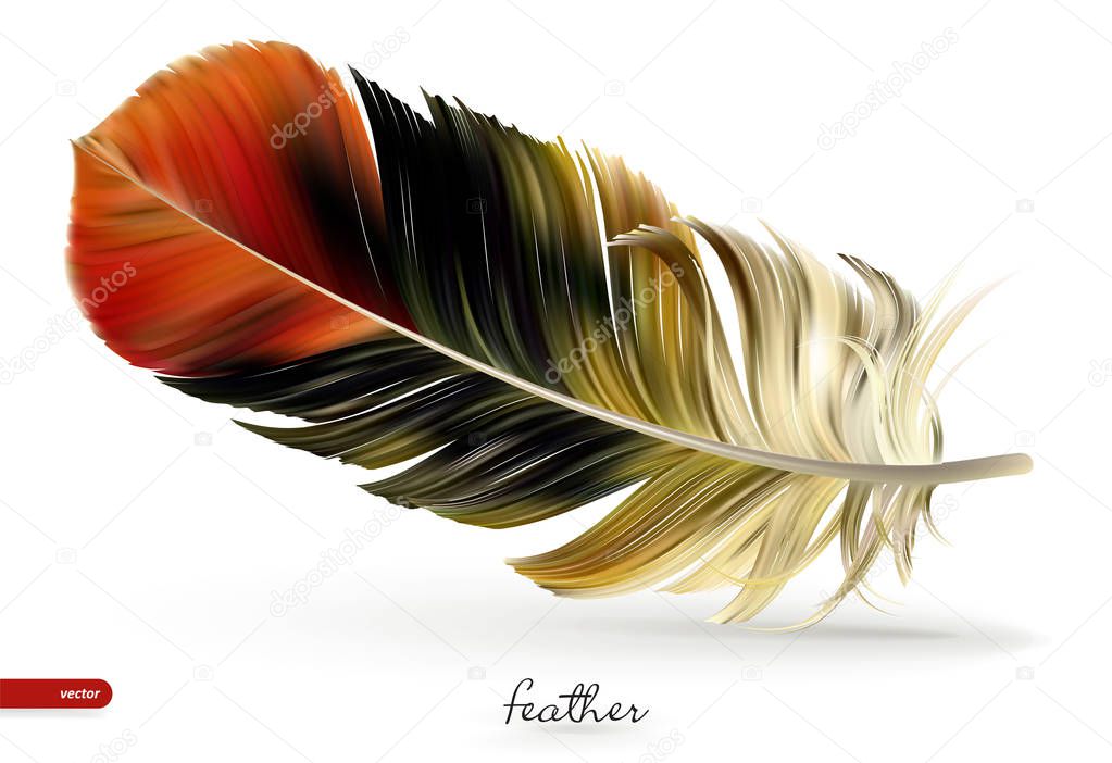 Realistic feathers - vector illustration. Isolated on white background