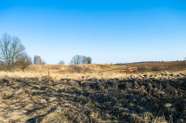 Simple Field Fall — Stock Photo, Image