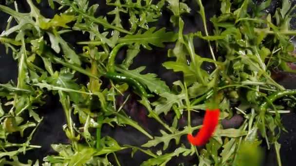 Kerstomaten en rode groene chili paprika 's vallen op bladeren — Stockvideo