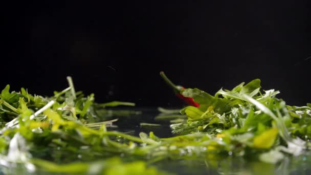 Delicious salad ingredients fall among green arugula leaves — Stock Video