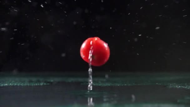 Tomate cereja vermelho cair na superfície molhada causando gotas de água — Vídeo de Stock