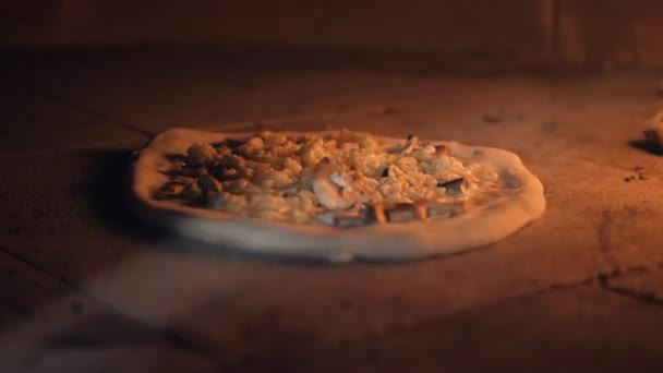 Rauw pizzadeeg met gehakte ingrediënten ligt in een stenen oven — Stockvideo