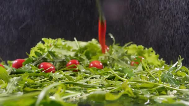 Pimentas vermelhas e tomates cereja caem em folhas verdes — Vídeo de Stock