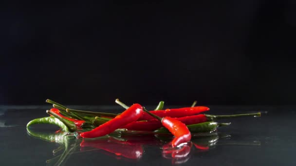 红辣椒和青椒在阳光下落到潮湿的表面 — 图库视频影像