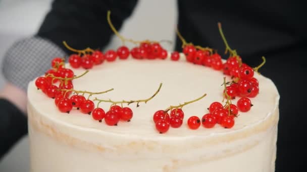 Шеф-повар в черных перчатках кладет сочные смородиновые ягоды на торт — стоковое видео