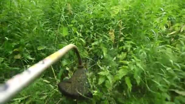 Обрізка високої зеленої трави з обладнанням в зеленому парку — стокове відео