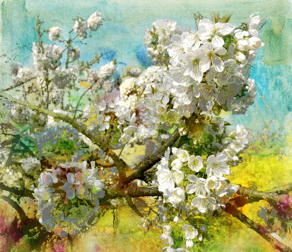 Blossoming cherry, pastel and mixed media — Stock Photo, Image