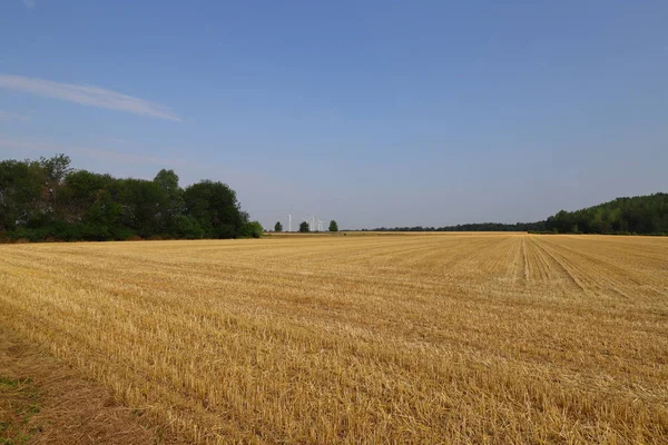 agriculture landscape in Germany in July.  Popular region for hiking , bicycling and recreation activities in North Rhine Westphalia , near the dutch border.Wind farm in the background , can be seen throughout Germany due to CO2 reduction efforts.