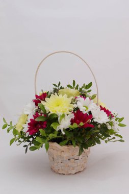 Gerberas ve krizantem parlak bir buket fıstık ağacının yeşil sprigs ile dolaşık.