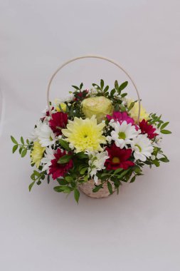 Gerberas ve krizantem parlak bir buket fıstık ağacının yeşil sprigs ile dolaşık.