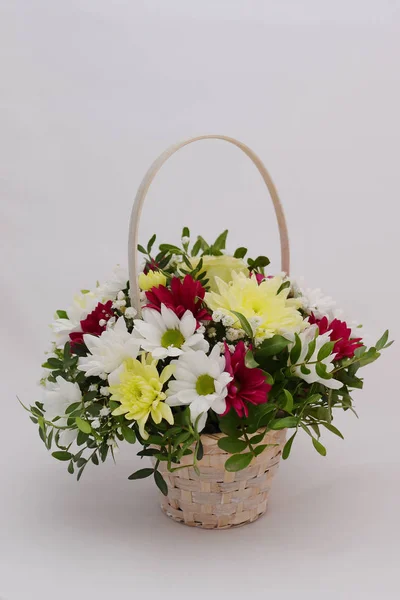 Gerberas ve krizantem parlak bir buket fıstık ağacının yeşil sprigs ile dolaşık.