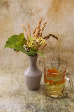 Bir fincan taze ıhlamur çayı. Kokulu sarı çiçekler ve ıhlamur ve kurutulmuş çim kirpi yaprakları bir buket ile beyaz vazo.