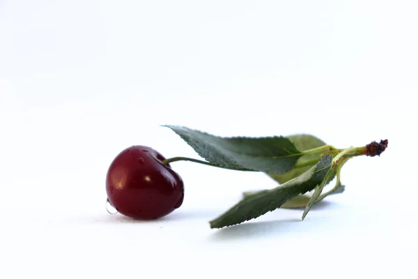 Helle bunte Kirschbeeren auf weißem Hintergrund — Stockfoto