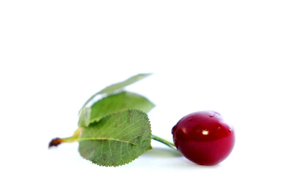 Helle bunte Kirschbeeren auf weißem Hintergrund — Stockfoto