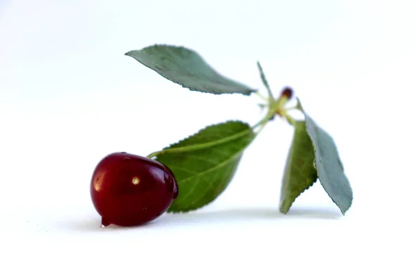 Helle bunte Kirschbeeren auf weißem Hintergrund — Stockfoto