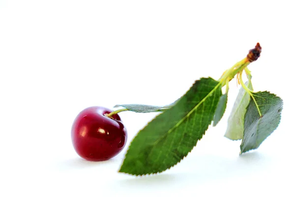 Helle bunte Kirschbeeren auf weißem Hintergrund — Stockfoto