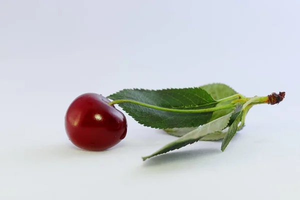 Яркие цветные ягоды вишни на белом фоне — стоковое фото