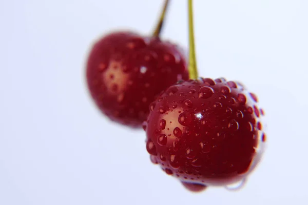 Яскраві барвисті вишневі ягоди на білому тлі — стокове фото