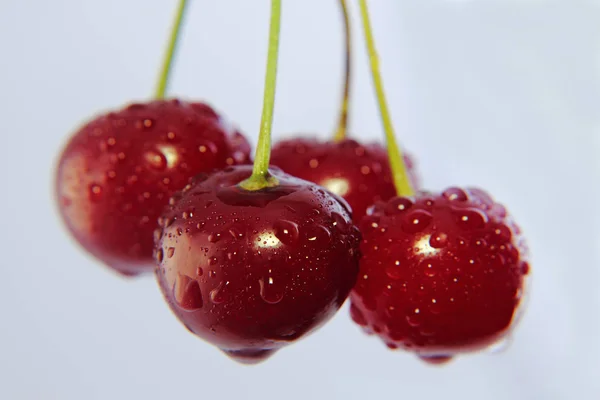 Helle bunte Kirschbeeren auf weißem Hintergrund — Stockfoto