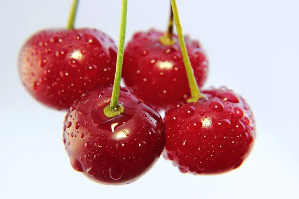 Helle bunte Kirschbeeren auf weißem Hintergrund — Stockfoto