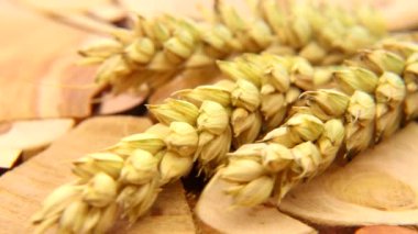 Döner masada buğdayın altın kulakları. Buğday - yaşam kaynağı, un, ekmek, rulo, bisküvi üretimi için hammadde ...