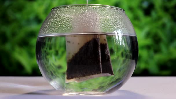 Tea Bag Slowly Lowered Transparent Glass Vessel Hot Water Floats — Stock Video