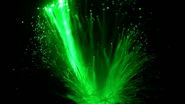 Vagando de um feixe de laser em um feixe de filamentos de fibra óptica. Feixe laser em uma lâmpada de fibra óptica na forma de uma panícula de fios . — Vídeo de Stock