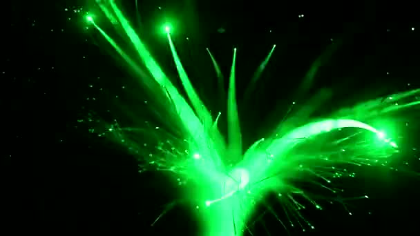 Vagando de um feixe de laser em um feixe de filamentos de fibra óptica . — Vídeo de Stock