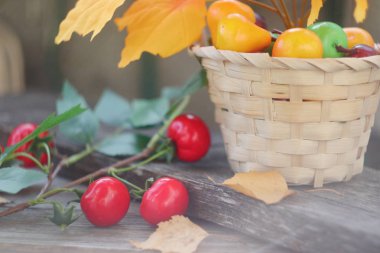 Parlak renkli sonbahar havası. Sonbahar nedenleri.