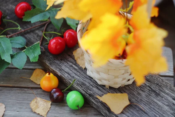 Яскравий барвистий осінній настрій. Осінні мотиви . — стокове фото