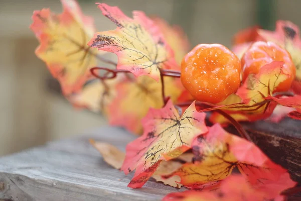 Humor de otoño brillante y colorido. Motivos de otoño . —  Fotos de Stock