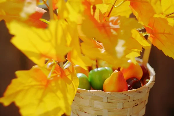 Яскравий барвистий осінній настрій. Осінні мотиви . — стокове фото