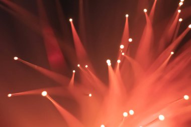 Soyut arkaplan. Ucunda parlak noktalar olan renkli dalları olan fantastik bitkiler. Karanlık bir arka planda, optik fiberlerin paniğinden çıkan lamba..