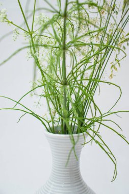 Sıcak bir yazın parlak renkleri. Bir buket tarla ve çayır bitkisi. Parlak yeşil otlar.