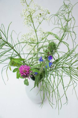 Sıcak bir yazın parlak renkleri. Bir buket tarla ve çayır bitkisi. Parlak yeşil otlar.