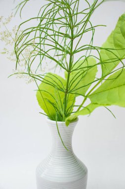 Sıcak bir yazın parlak renkleri. Bir buket tarla ve çayır bitkisi. Parlak yeşil otlar.