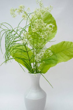 Sıcak bir yazın parlak renkleri. Bir buket tarla ve çayır bitkisi. Parlak yeşil otlar.