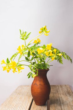 Sıcak bir yazın parlak renkleri. Yaz tarlaları, çayır otları ve ağaçtan bir bankta çiçekler..